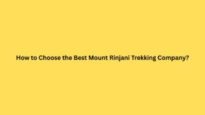 How to Choose the Best Mount Rinjani Trekking Company?