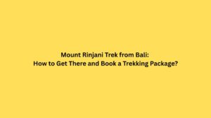 Mount Rinjani Trek from Bali: How to Get There?