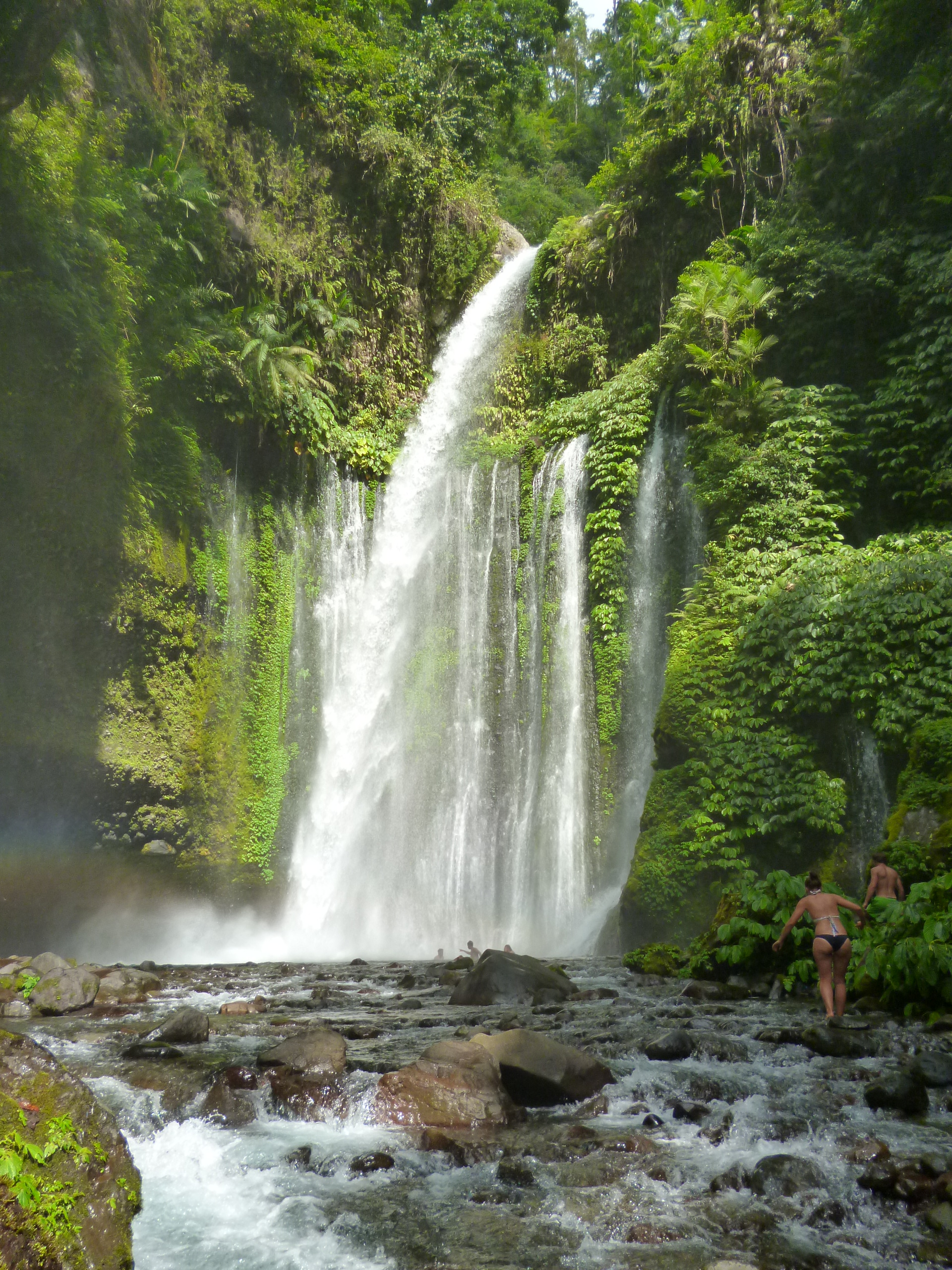 Rinjani Hero Best Rinjani Trekking Company. We offer a variety of Mount Rinjani Trekking Tour Package And Lombok To Labuan Bajo Boat Trip.